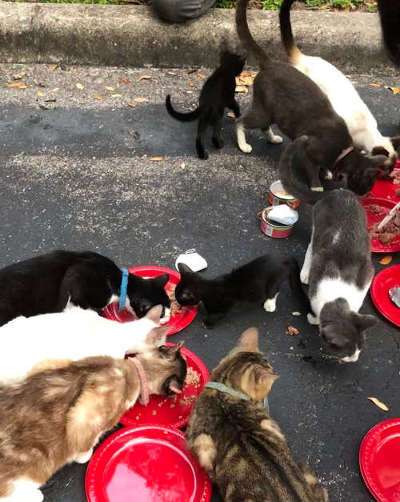 Donate to this charitable organization