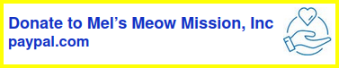 Mels Meow Mission PayPal Donate button